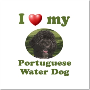 I Love My Portuguese Water Dog Posters and Art